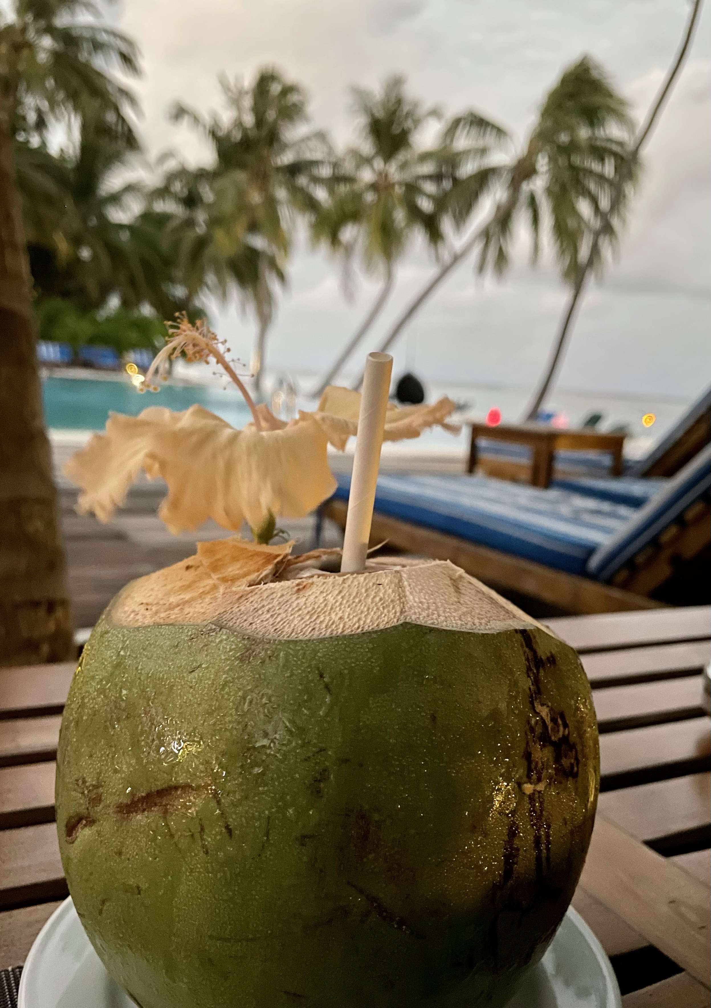 The 7 benefits of coconut water according to the Maldivian experts